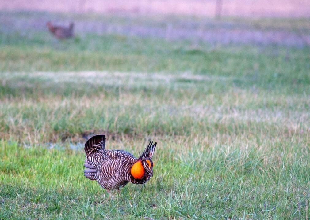 #18. Kansas